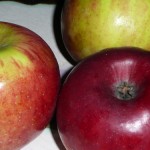 APPLES