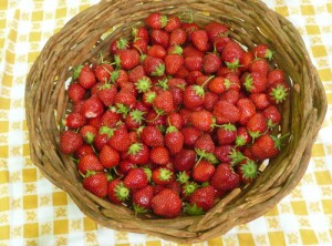 strawberries in basket