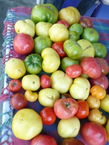 Last of the heirloom tomatoes