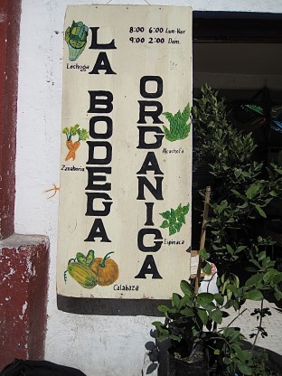 bodega