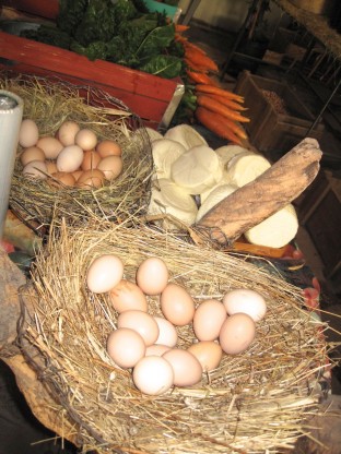 toyan eggs