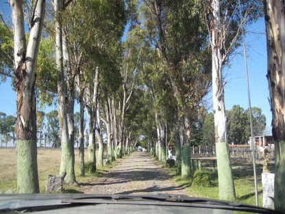 toyan entrance