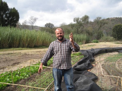 eco villa luc and his crops 3, serious